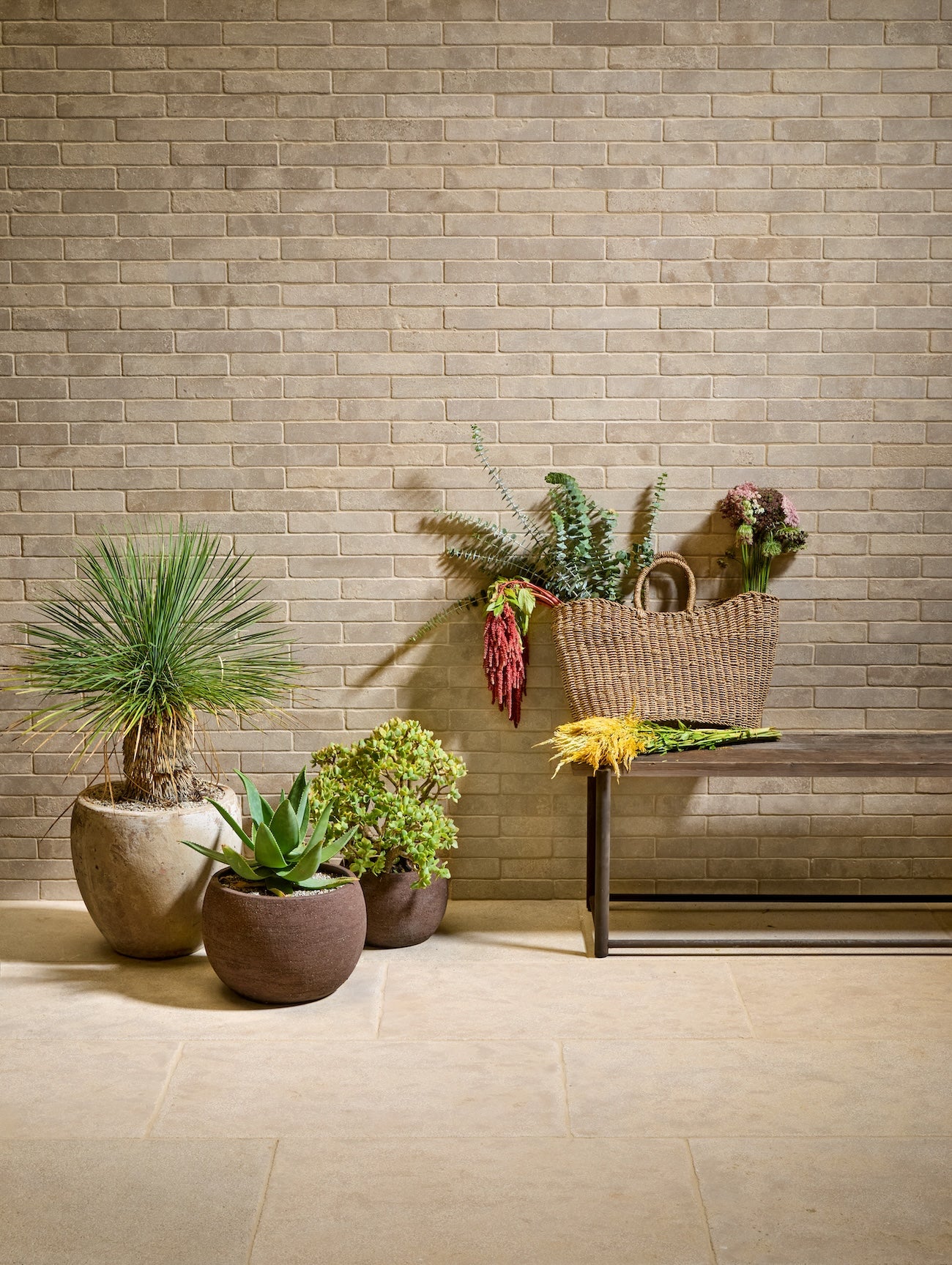 Atlas Beige Select Rustic