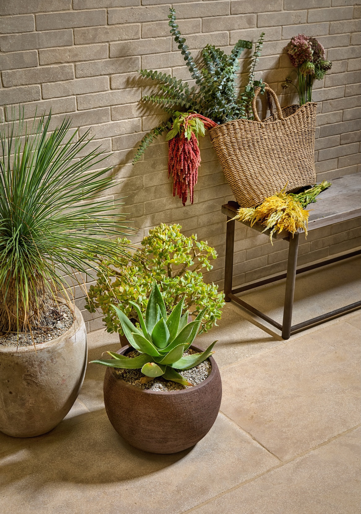 Atlas Beige Select Rustic