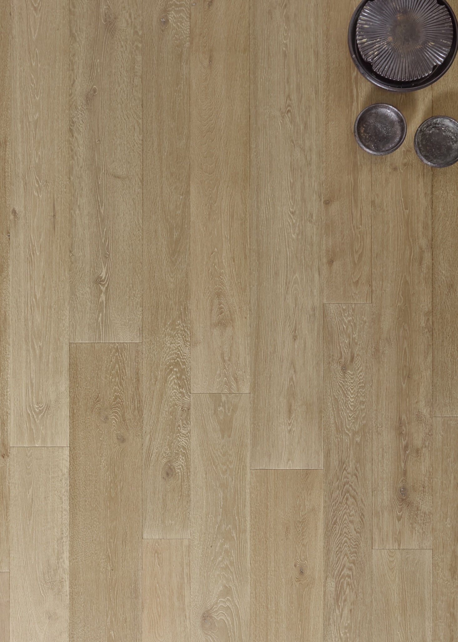 Lumiere Rivoli