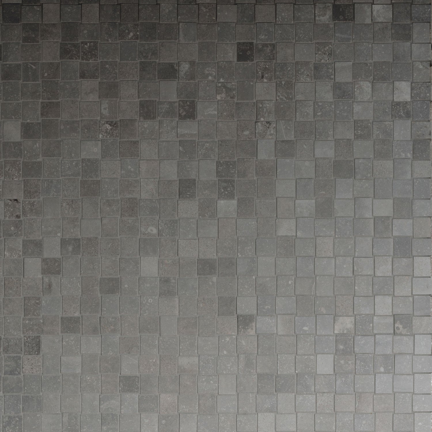 Modena Mosaico Tessere