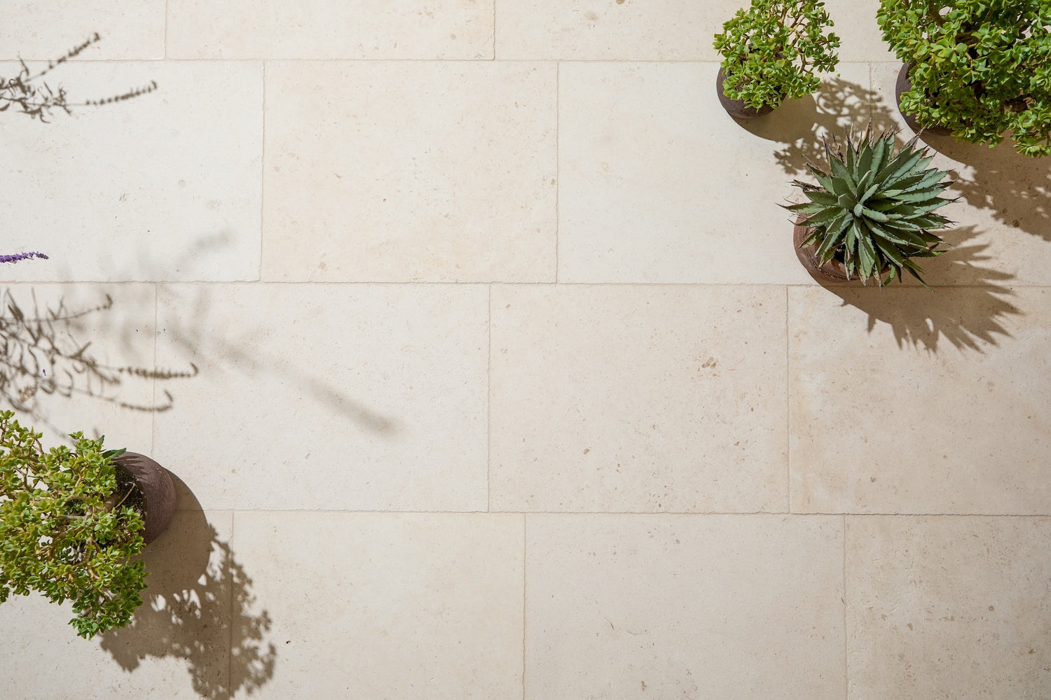 Charente Fleury Aged