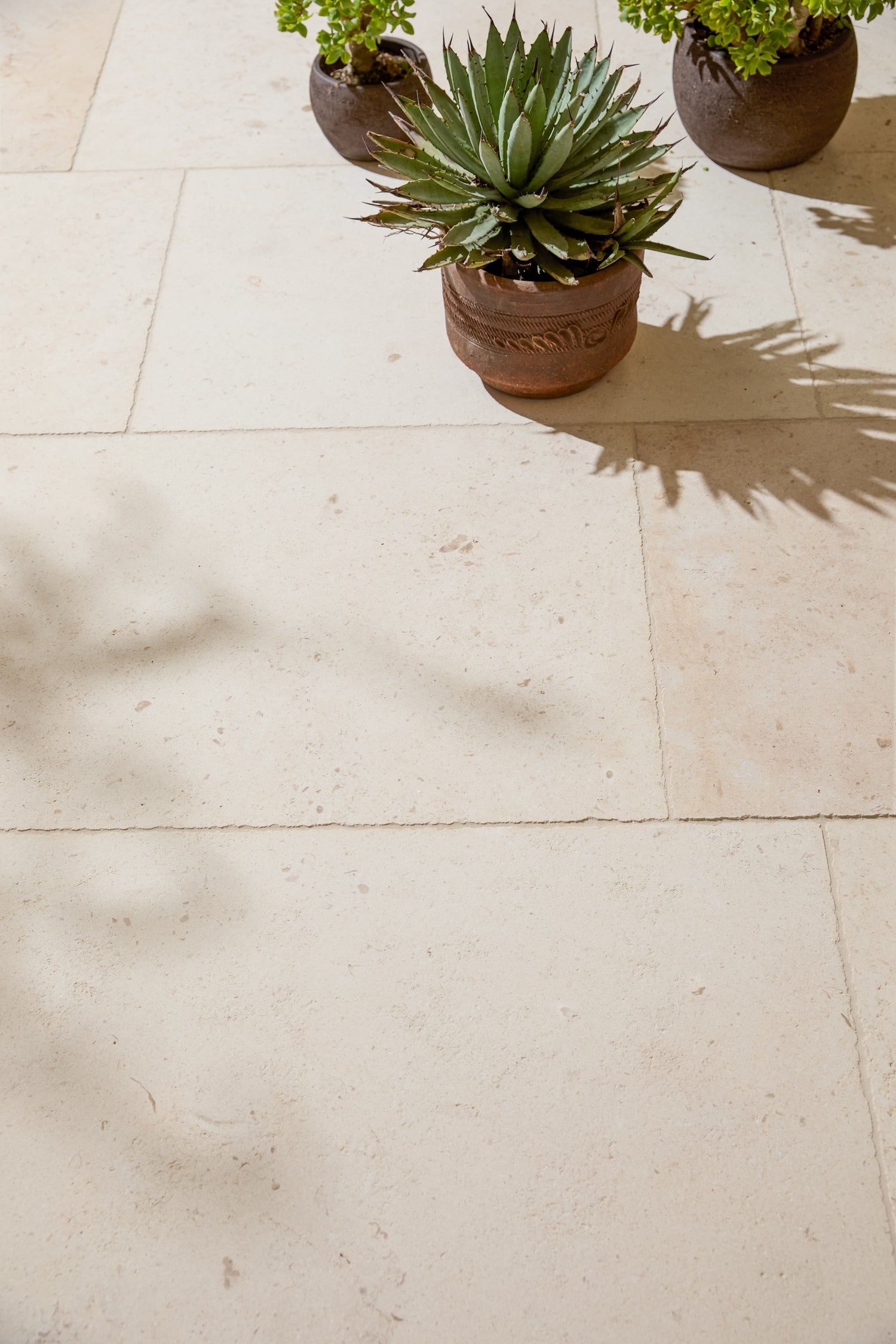 Charente Fleury Aged