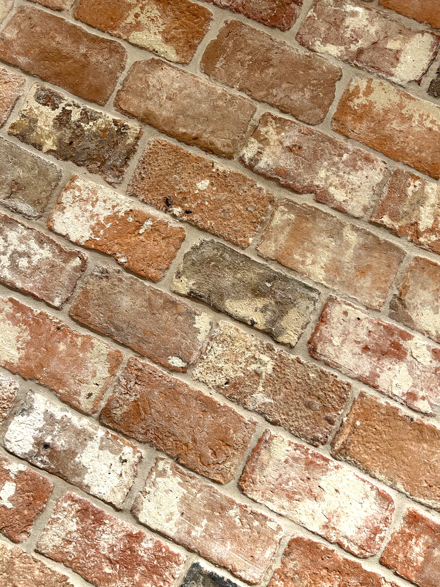 Firebrick Peach