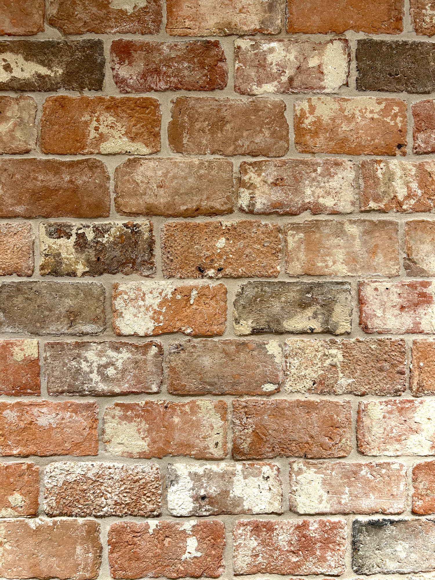 Firebrick Peach