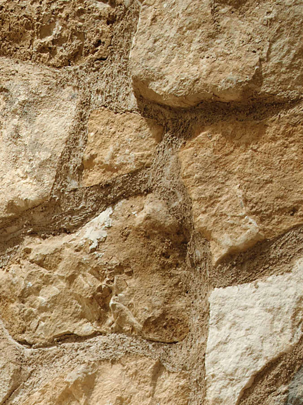 Reclaimed Stone