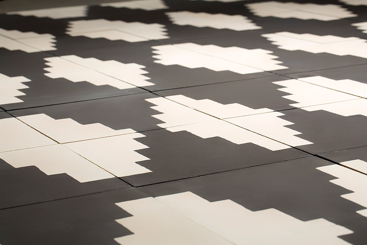 Commune Zuni Zebra 2