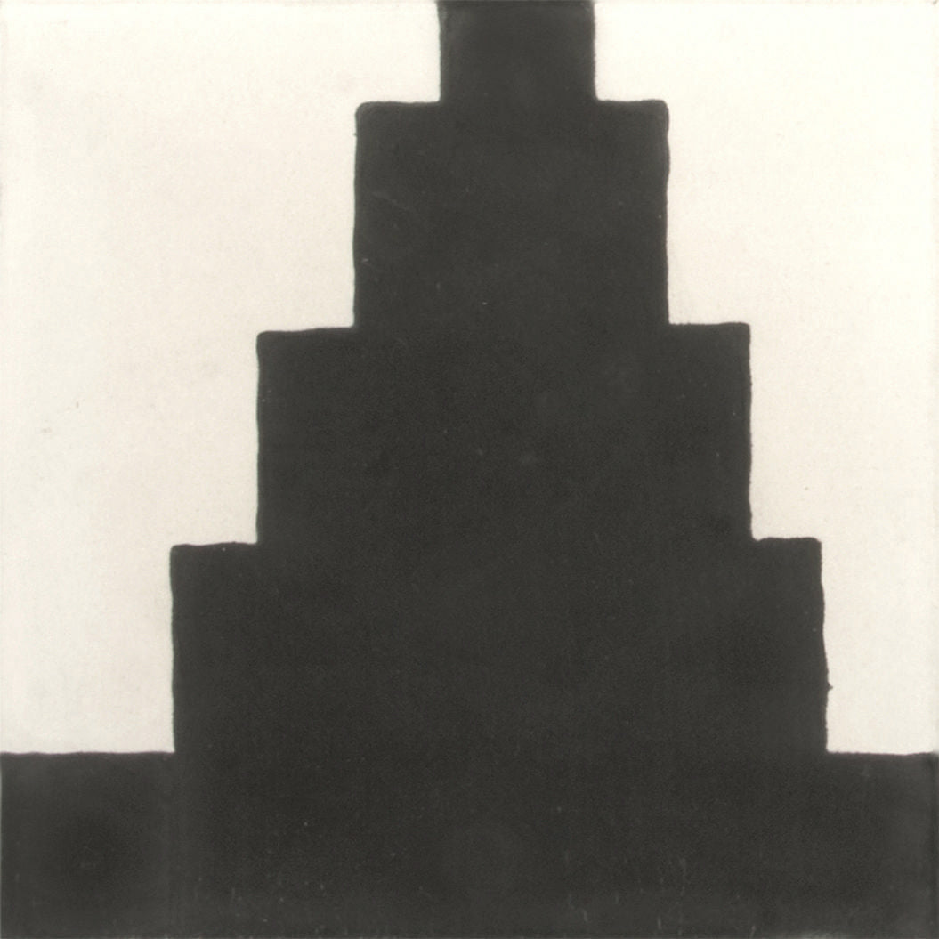 Commune Zuni Zebra 2