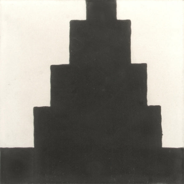 Commune Zuni Zebra 2