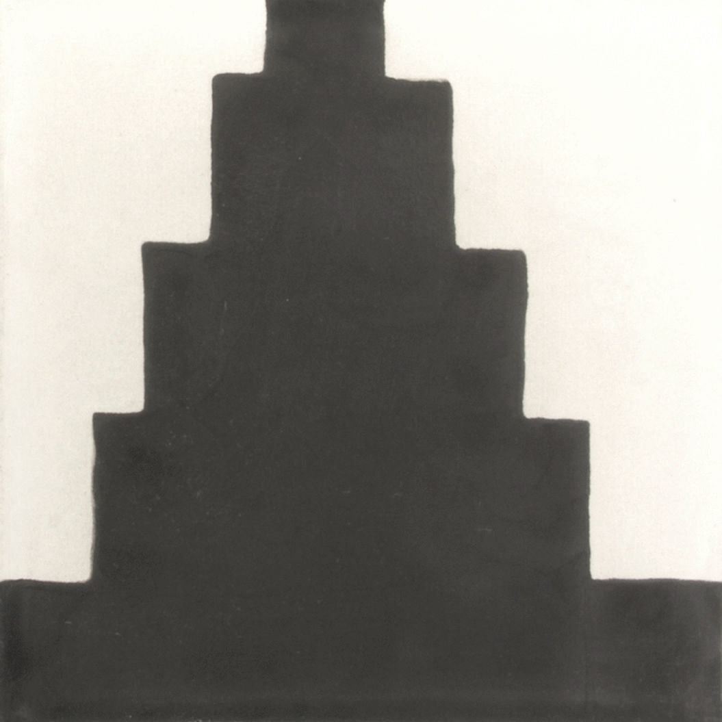 Commune Zuni Zebra 2